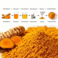Extrait de Curcuma, Curcuminoïdes Totaux 10%-95%, Extrait Standardisé de Rhizome de Curcuma Longa, Ingrédient Herbal
