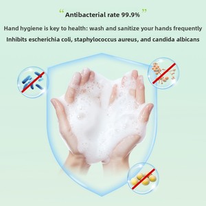 Huiji Mineral Foam <strong>Hand</strong> <strong>Soap</strong> 300ml Antibacterial Bagged <strong>Refill</strong> Lanxiang Green Tea in Stock Wholesale - Product Image 3
