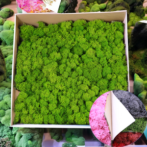 Carreaux muraux en mousse verte de haute qualité, mousse stabilisée de couleurs mélangées pour décoration de Noël, fleurs conservées, plantes, vente en gros en usine - Product Image 2