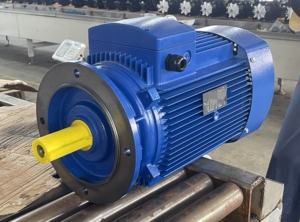 Moteur électrique à induction triphasé 22KW 30HP 220V/380V/400V AC 60Hz 3000 tr/min - Product Image 5