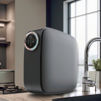 600G 800G purificateur d'eau RO intégré système d'osmose inverse filtre à eau potable directe pour cuisine ménage