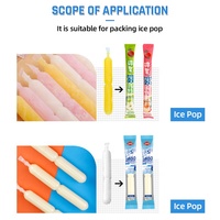 Voll automatischer Durchfluss Horizontale Verpackung Einfrieren Ice Pop Bar Kunststoff Lolly Tubes Einzel beutel Versiegelung kissen Verpackungs maschine