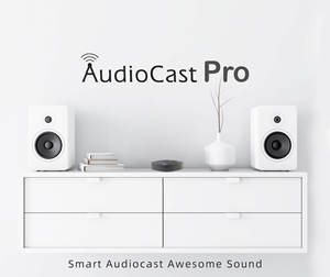 <span class=keywords><strong>Audiocast</strong></span> Pro M20 PRO WIFI AUDIO receptor transmisor BT RJ 45 Puerto transmisor de audio transmisor inalámbrico CON MANDO - Product Image 2