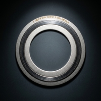 Joint spiralé métallique 316L 304 PTFE pour équipement de pipeline