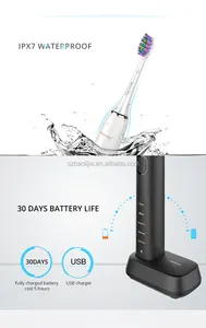 Baolijie OEM & ODM SN903 impermeabile vibrante a batteria azionato automatico Sonic elettrico spazzolino da denti