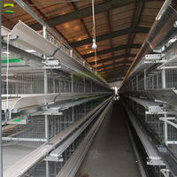 Système d'élevage de poules pondeuses entièrement automatique, personnalisable, de qualité commerciale, haute efficacité, durable
