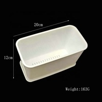 Pot de fleur en plastique blanc rond polygonal carré avec plateau intérieur petite plante de pépinière Cactus succulentes pots de jardinière