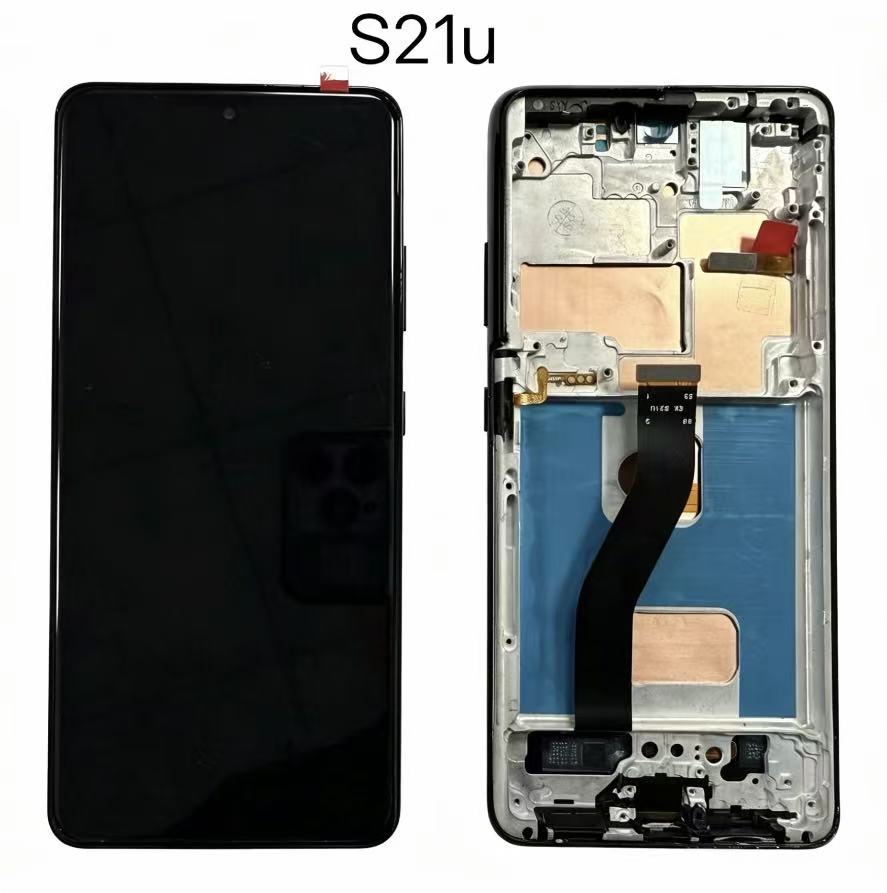 Pour Samsung S21U W/F