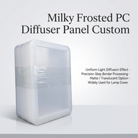 Plaque en polycarbonate PC usinée sur mesure par CNC, avec bords fraisés et formes irrégulières pour couvercle de lampe d'équipement, selon dessin OEM