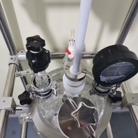 Equipo de Reacción con Agitación Automática para Laboratorio, Diseño Transparente, Olla de Reacción de Vidrio Pequeña de 5L, Motor para Mezcla Química