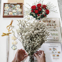 Herbe de cristal stabilisée pour projets DIY, arrangements floraux de Caspea sur mesure, bouquet pour la Fête des Mères, mariages, remises de diplômes et usage domestique
