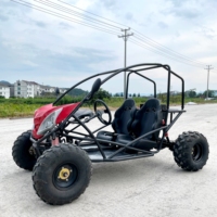 Voiture électrique pour adultes LNA Never Quits 1500w