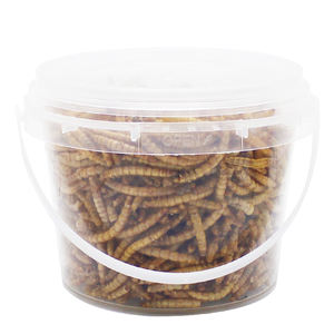 Yüksek Protein Mealworms vahşi kuş, tavuk, ördek, balık, sürüngen, kaplumbağa, amfibi, kertenkele - Product Image 2