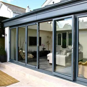 粉末涂层铝框架超薄设计双层玻璃滑动门系统天井门