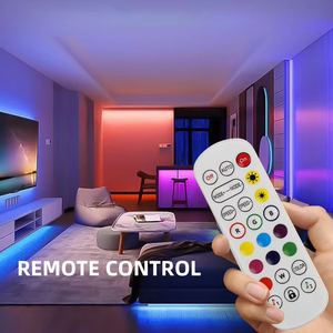 Prix de gros IP65 24V Smart RGB <span class=keywords><strong>Neon</strong></span> Lights Décoration Éclairage avec télécommande vocale Flexible Rainbow <span class=keywords><strong>Neon</strong></span> Lamp - Product Image 4