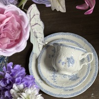 Ensemble de tasses et soucoupes en céramique bleu moderne et frais, motif végétal, pied haut, de haute qualité, pour desserts occidentaux, hôtels et événements