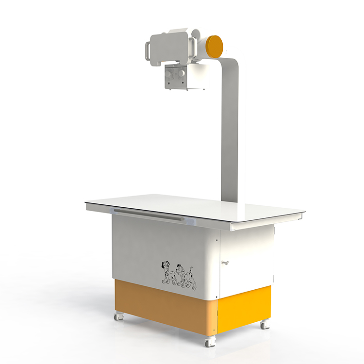 Equipos de Rayos X Médicos de Alta Frecuencia Columna Doble Fija 20kW Máquina de Rayos X para Animales Veterinarios
