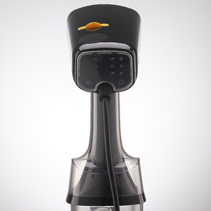 2100W portatile indumento a vapore portatile aspirapolvere 5000PA aspirazione secco umido doppia stiratura certificata CB certificata ROHS - Product Image 5