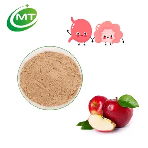 Factory Direct Organic Quality 60% Fiber Apple Fiber Powder for Gut Health