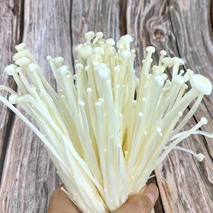 Enoki de champignons frais de haute qualité à vendre - Product Image 6