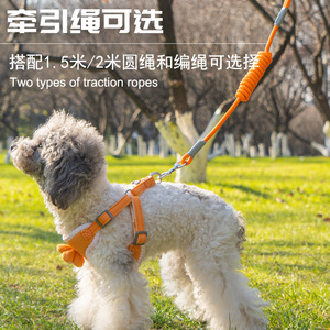 Correa para perro estilo chaleco, arnés de pecho para perros pequeños tipo Teddy Bichon Frise, cuerda para pasear gatos y conejos, cadena, artículos para mascotas - Product Image 4