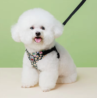 Ensemble laisse et harnais pour chien, laisse de promenade pour chien, harnais réglable pour chiot et chat, accessoires pour chiens de petite et moyenne taille