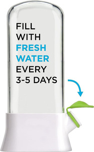 Wholesale Cross-border Vanilla Vegetable Fresh-keeping <b>Box</b> Dust-proof Anti-pressure Environmental Device - Product Image 5