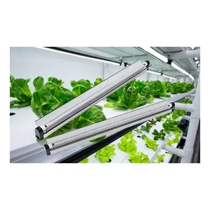 Luces led de espectro completo t5 para interiores, accesorios de iluminación para cultivo, chips, ce rohs 4000, 5000 lúmenes, 10w, 60w