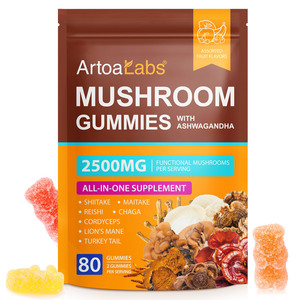 Gomitas Veganas de Complejo de Melena de León de 2500 mg de ArtoaLabs, Suplementos Superalimentos de Marca Privada, Gomitas de Hongos para la Concentración Diaria - Product Image 1