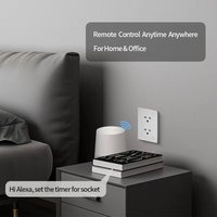 Prise murale intelligente WiFi 2 voies, panneau tactile en verre trempé, universelle 240V, application Smart Life, commande vocale (Alexa/Google Home)