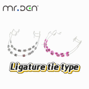 orthodontique dentaire longue et légère en acier inoxydable Instrument de forçage manuel Outil de dentiste pour faire - Product Image 3