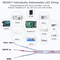 Vente en gros 12V Full Dream Color LED Strip String Fairy Lights WS2811 RGBIC Adressable pour la décoration individuelle de l'arbre de Noël