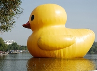 Dessin animé flottant gonflable géant de 12m-15m sur le lac de la mer