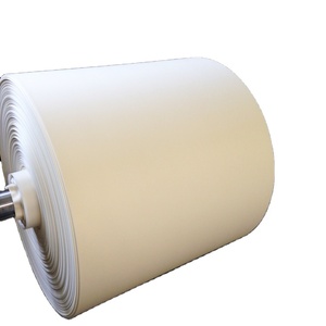 Papier sulfurisé en silicone en rouleau jumbo pour la fabrication de moules à gâteaux - Product Image 1