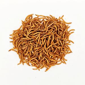 100%天然昆虫タンパク質乾燥ミールワーム鳥の餌高タンパク質乾燥ミールワーム - Product Image 5