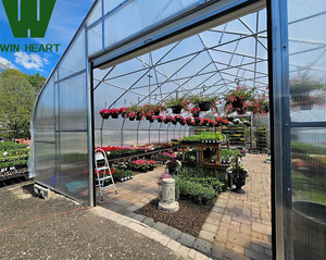 Serre Poly Tunnel à vendre pour les tomates et les cultures de bleuets Serre agricole parfaite - Product Image 6