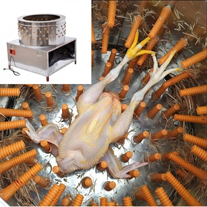 Machine Combinée Échauffeuse et Plumeuse pour Volailles (Poulet et Caille) – Système d'Échauffage et de Plumeage 110/220V, Capacité 1000 plumes/heure – Équipement d'Abattage - Product Image 4