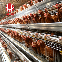 Cage à poules pondeuses automatique de type A à 4 niveaux avec système de collecte des œufs, abreuvoir à tétine, courroie de fumier agricole en acier galvanisé à chaud OEM