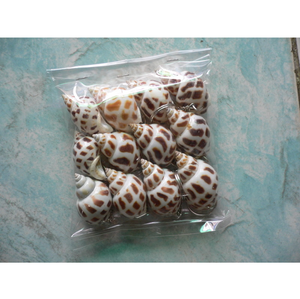 Llavero Ecológico para Monedas con Diseño de Concha Marina y Serigrafía Simple - Product Image 4