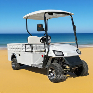 <b>White</b> Two Seater Electric Golf Cart Rear <b>Cargo</b> Box Commercial Utility Transport - Product Image 2