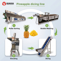 Fruitverwerkingslijn, fruitwasmachine, fruit- en groentegraffinemechanisme, fruit snijmachine, ananas snijlijn