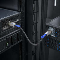 SKS 12Gbps Externes Mini SAS HD SFF-8644 zu SFF-8644 Kabel 1m 2m 3m Datenkabel für RAID-Controller zu JBOD-Speichergehäuse