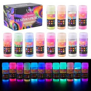 LEQU Happy And Fun – Poudre de pigment lumineuse en vrac, 12 couleurs, 20g chacune, qui brille dans le noir, pour résine et nail art, vente en gros - Product Image 3