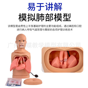 Modèle de soins pour sonde nasogastrique et trachéale ; modèle de sonde nasogastrique ; formation en incision et aspiration ; intubation trachéale ; gastrique - Product Image 2