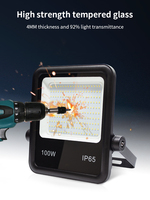 Projecteur LED extérieur 100W IP65 alimenté en courant continu 12V 24V avec boîtier en aluminium pour la pêche marine - Ventes flash