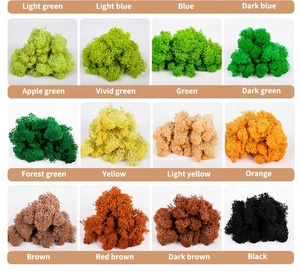 <span class=keywords><strong>Fleurs</strong></span> séchées de qualité supérieure, 5 pièces, <span class=keywords><strong>mousse</strong></span> lim importée - Product Image 3