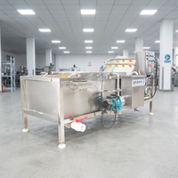 Bubble Cleaning Groente En Fruit Wasmachine Tomaat Fruit Wasmachine Machine