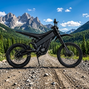 Motocicleta Todoterreno Popular Talaria Pro X3, Motor de 6kw, 60v 40ah, 75km/h, Entrega Rápida desde Almacén en la UE, Talaria Pro - Product Image 1