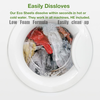 Tablettes de lessive biodégradables naturelles, formule pure, protection de la couleur, élimination des taches, feuilles de détergent à lessive, OEM ODM