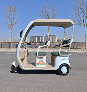 จักรยานสามล้อไฟฟ้า3ล้อจักรยานไฟฟ้ามีหลังคารถสามล้อไฟฟ้า - Product Image 3